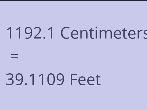 1192.1 CM TO FEET