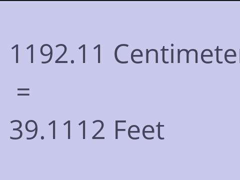 1192.11 CM TO FEET