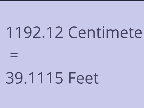 1192.12 CM TO FEET