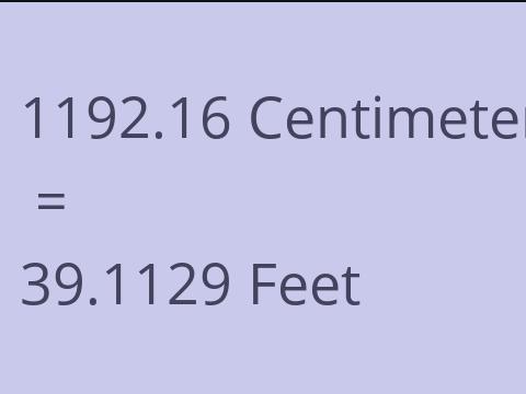 1192.16 CM TO FEET