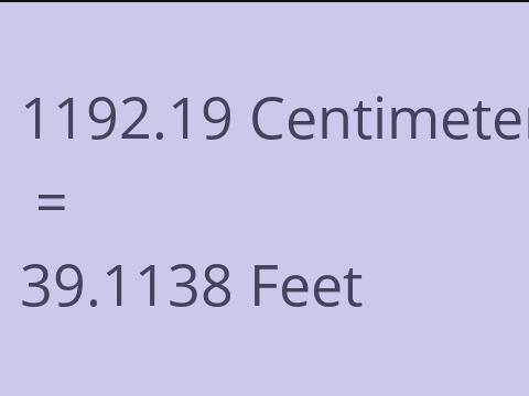 1192.19 CM TO FEET