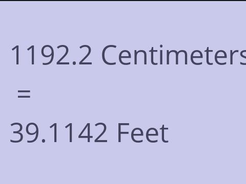 1192.2 CM TO FEET