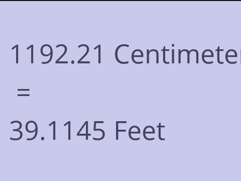 1192.21 CM TO FEET