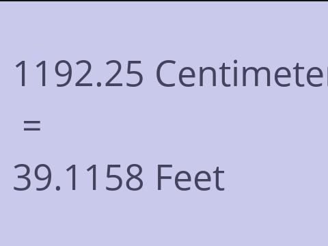 1192.25 CM TO FEET