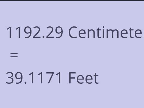 1192.29 CM TO FEET