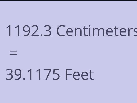 1192.3 CM TO FEET