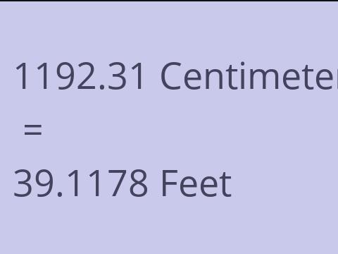 1192.31 CM TO FEET