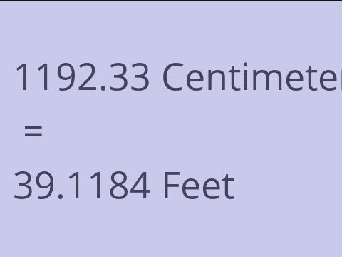 1192.33 CM TO FEET