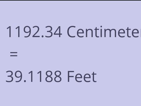 1192.34 CM TO FEET