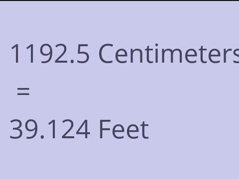 1192.5 CM TO FEET