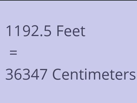 1192.5 FEET TO CM