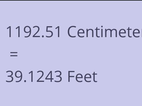 1192.51 CM TO FEET