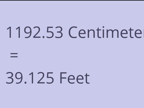 1192.53 CM TO FEET