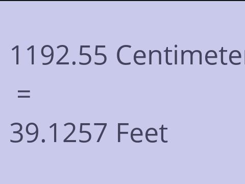 1192.55 CM TO FEET