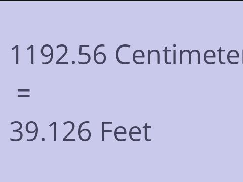 1192.56 CM TO FEET