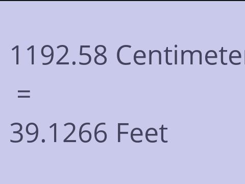 1192.58 CM TO FEET