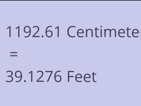 1192.61 CM TO FEET