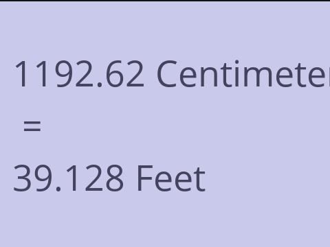 1192.62 CM TO FEET