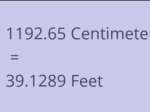 1192.65 CM TO FEET