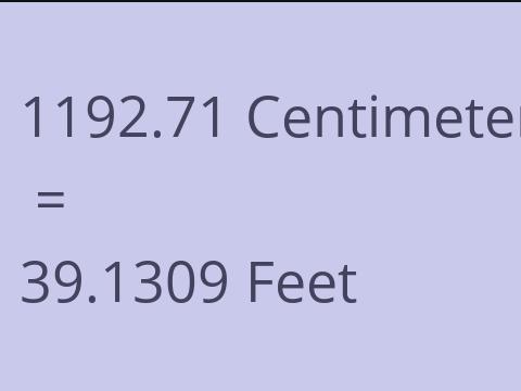 1192.71 CM TO FEET