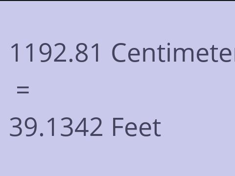 1192.81 CM TO FEET