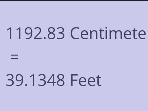 1192.83 CM TO FEET