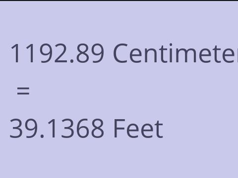 1192.89 CM TO FEET