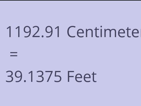 1192.91 CM TO FEET