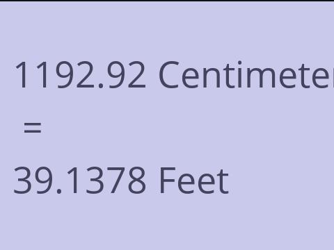 1192.92 CM TO FEET