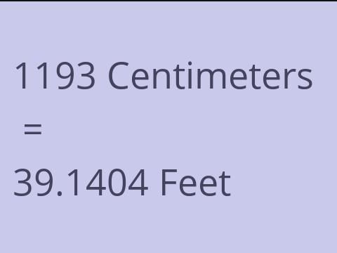 1193 CM TO FEET