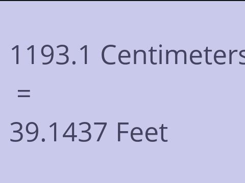 1193.1 CM TO FEET