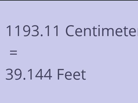 1193.11 CM TO FEET