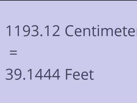 1193.12 CM TO FEET