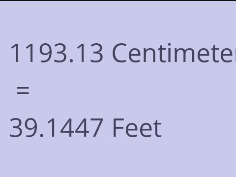 1193.13 CM TO FEET