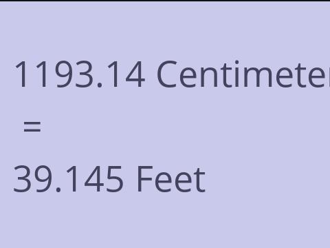 1193.14 CM TO FEET