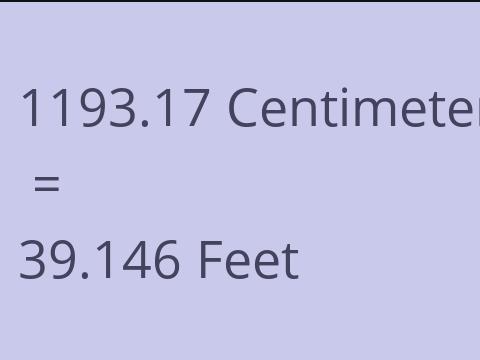 1193.17 CM TO FEET