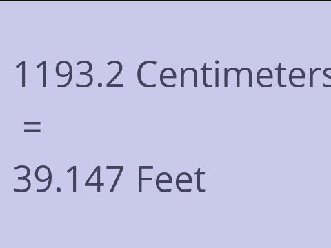 1193.2 CM TO FEET