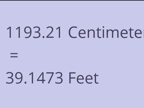 1193.21 CM TO FEET