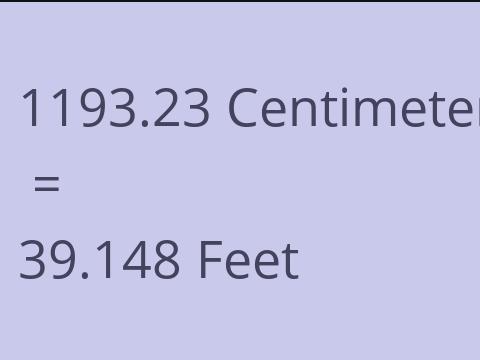 1193.23 CM TO FEET