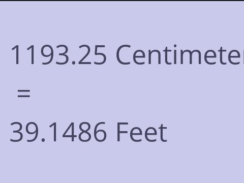 1193.25 CM TO FEET