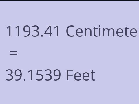 1193.41 CM TO FEET