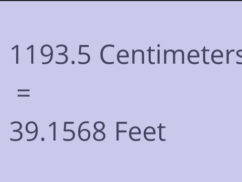 1193.5 CM TO FEET