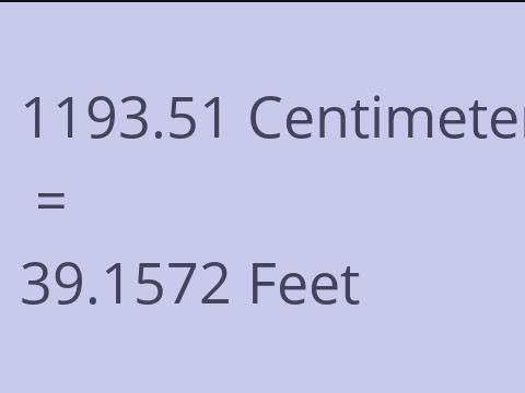 1193.51 CM TO FEET