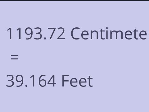 1193.72 CM TO FEET