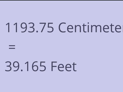 1193.75 CM TO FEET