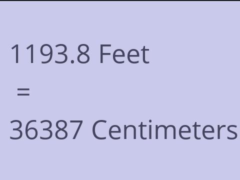 1193.8 FEET TO CM