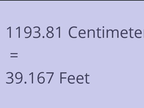 1193.81 CM TO FEET