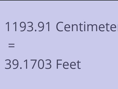 1193.91 CM TO FEET