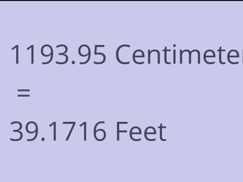 1193.95 CM TO FEET