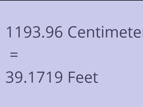 1193.96 CM TO FEET